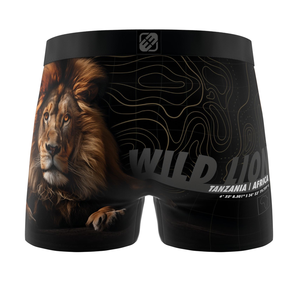 MS_1775852451564.webp