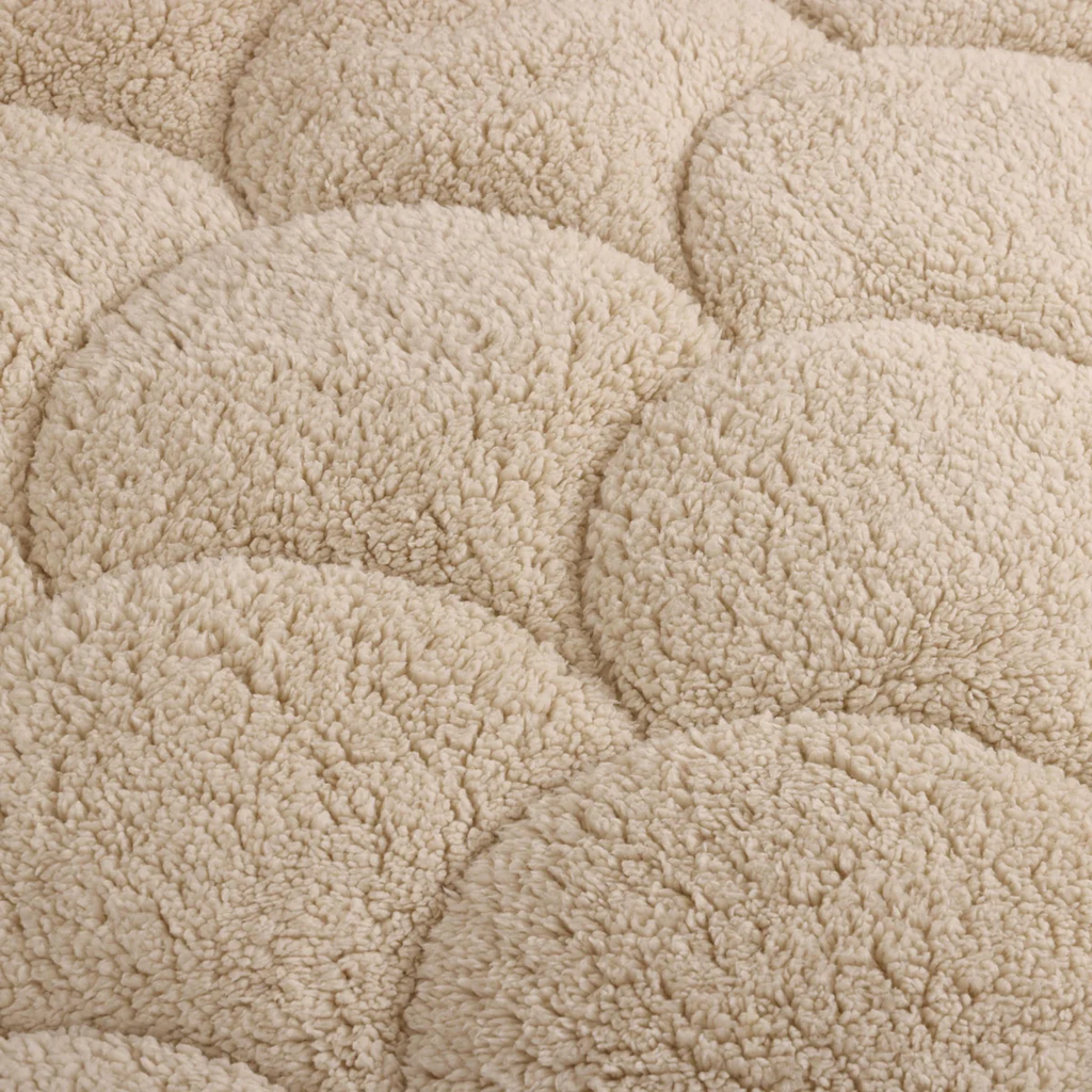 sand3.jpg.webp