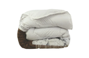 Dream_Uni1.png.webp